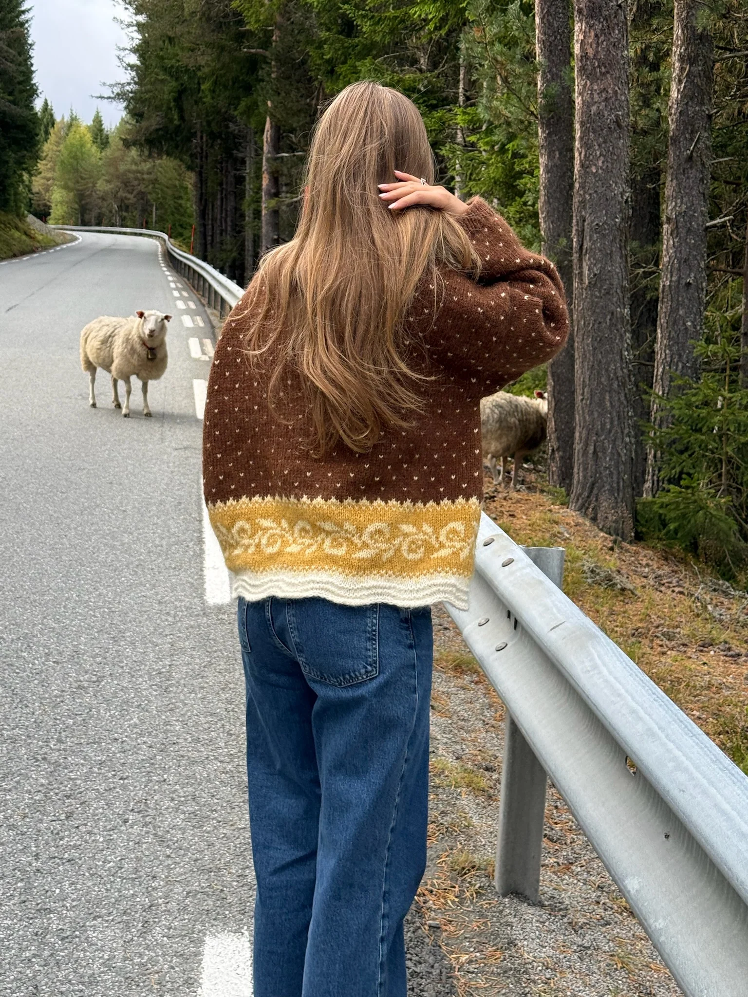 Frej Sweater Garnpakke 4 farger - Image 3